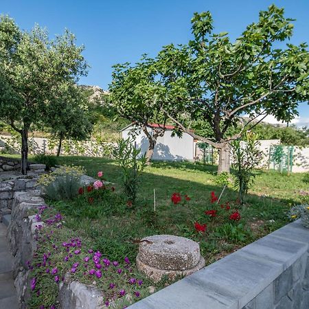 Villa Carmen Draga Bascanska ภายนอก รูปภาพ