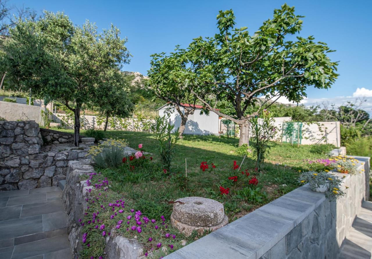 Villa Carmen Draga Bascanska ภายนอก รูปภาพ